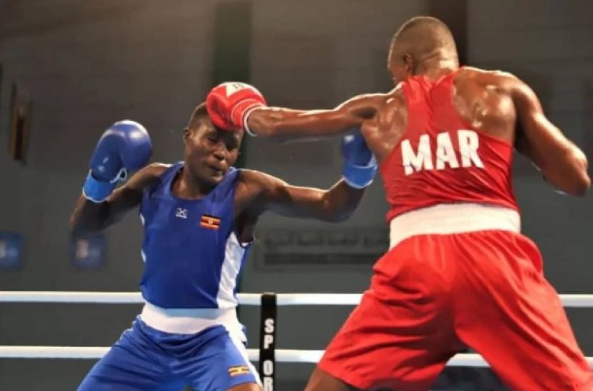  Championnats d’Afrique de boxe: Le Maroc champion avec 13 médailles au total