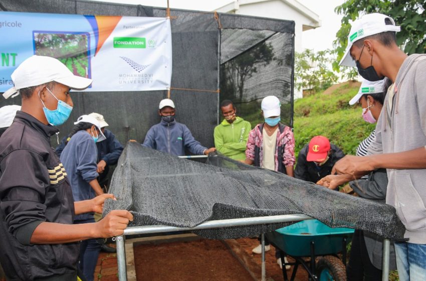 La Fondation OCP accompagne plus de 800 coopératives marocaines et