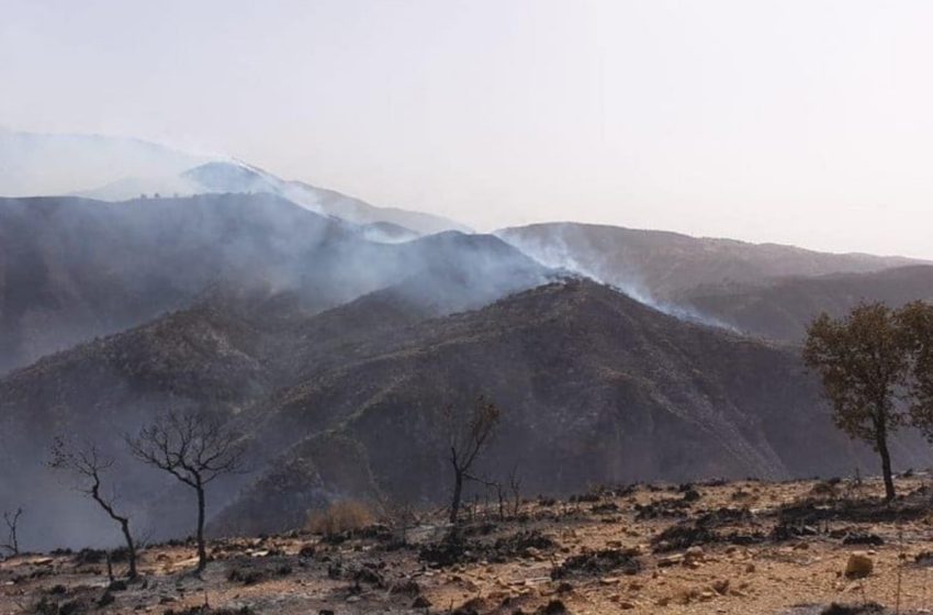  Taza: L’incendie de la forêt de Maghraoua maîtrisé à 65 pc