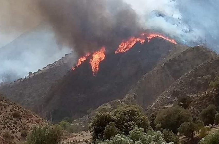 Taza: Les efforts se poursuivent pour circonscrire l’incendie dans la