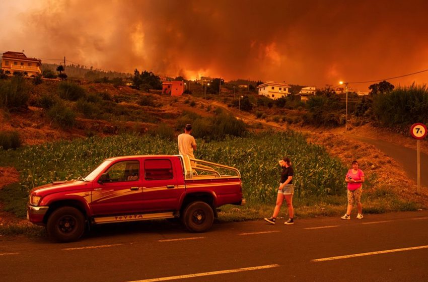  Feu de forêt en Espagne : Près de 14.000 hectares partent en fumée à Tenerife