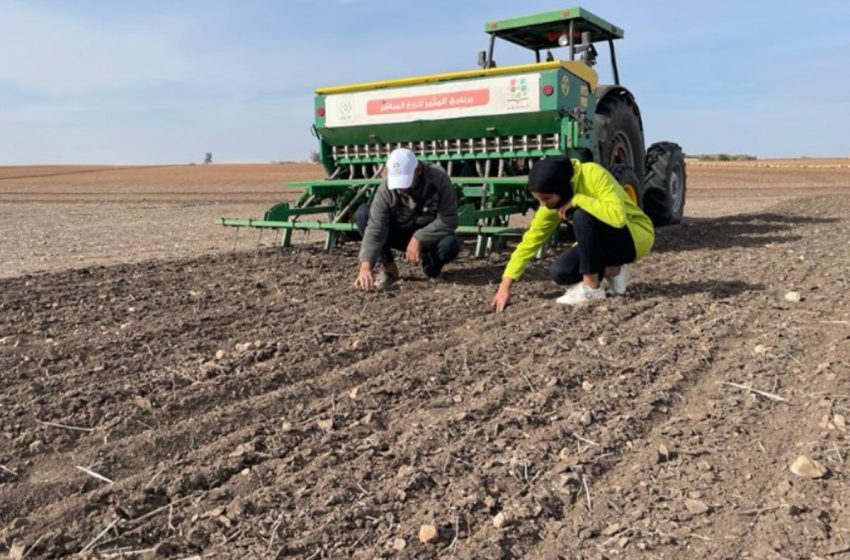 Campagne agricole 2022-2023: cumul pluviométrique en baisse de 32%