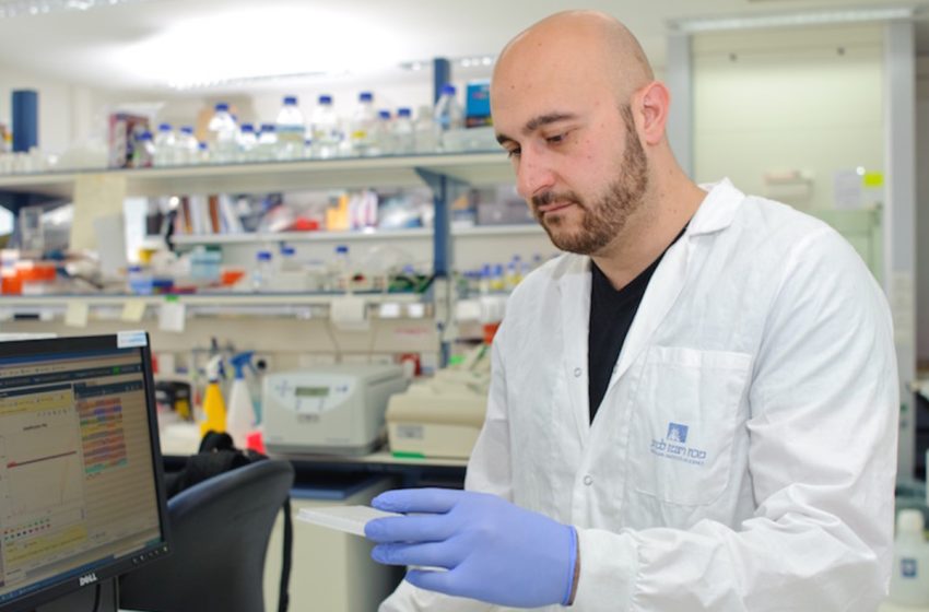 Tel-Aviv: Des scientifiques mettent au point des modèles d’embryons humains