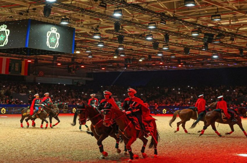  Salon du cheval d’El Jadida : La 14ème édition a attiré plus de 200.000 visiteurs