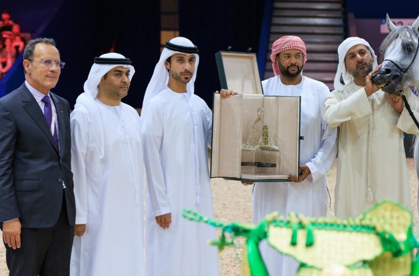  Salon du cheval d’El Jadida: Le cheval “Jayan De Nautiac” remporte le concours international de modèles et allures du pur-sang arabe