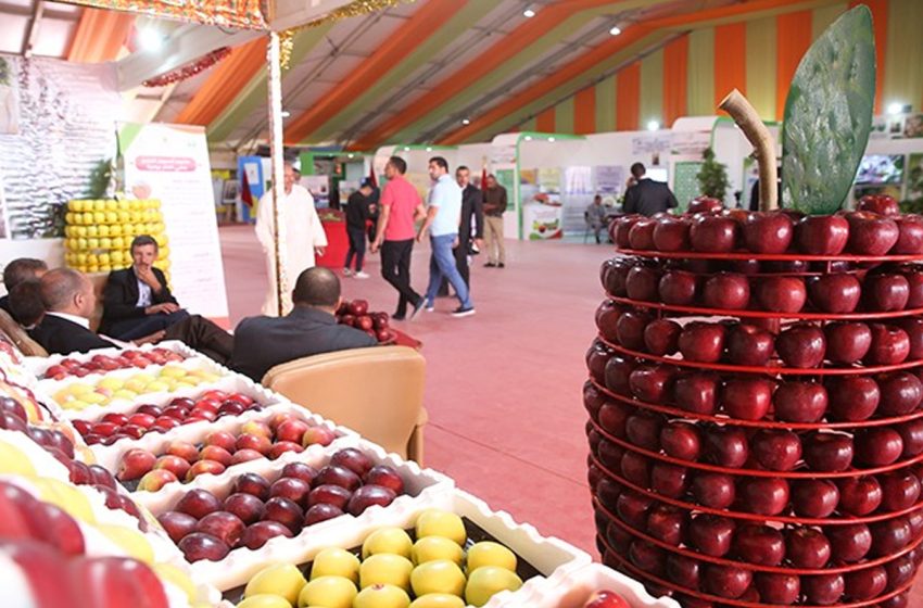 Le 3ème Salon national de la pomme ouvre ses portes à Midelt