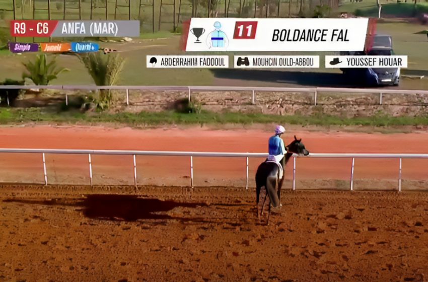 9ème Morocco International Meeting: Boldance Fal remporte le Grand Prix de SM le Roi Mohammed VI du Pur-sang Anglais