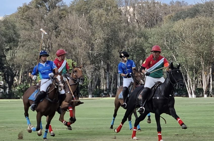 Coupe du Trône de polo : la 2ème édition du