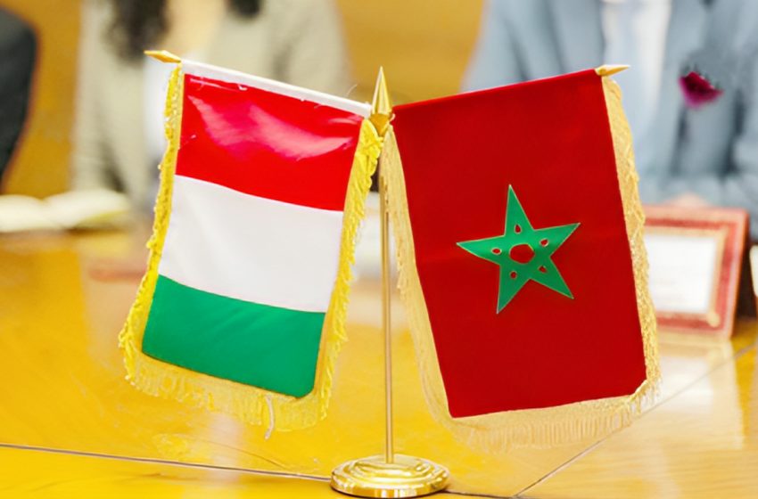 Maroc-Hongrie : 22 millions DH pour six projets de recherche scientifique