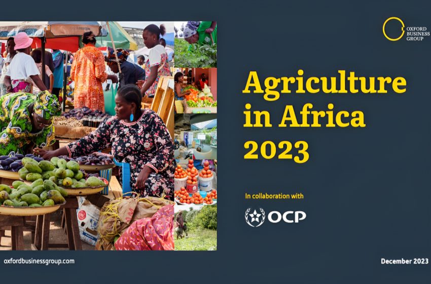 Oxford Business Group dévoile son rapport Agriculture in Africa 2023