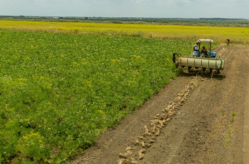 La FIMASUCRE obtient un appui financier supplémentaire au profit des