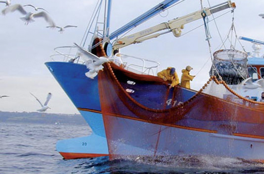 Pêche : repli de la valeur des produits commercialisés de 1% à fin mai (ONP)