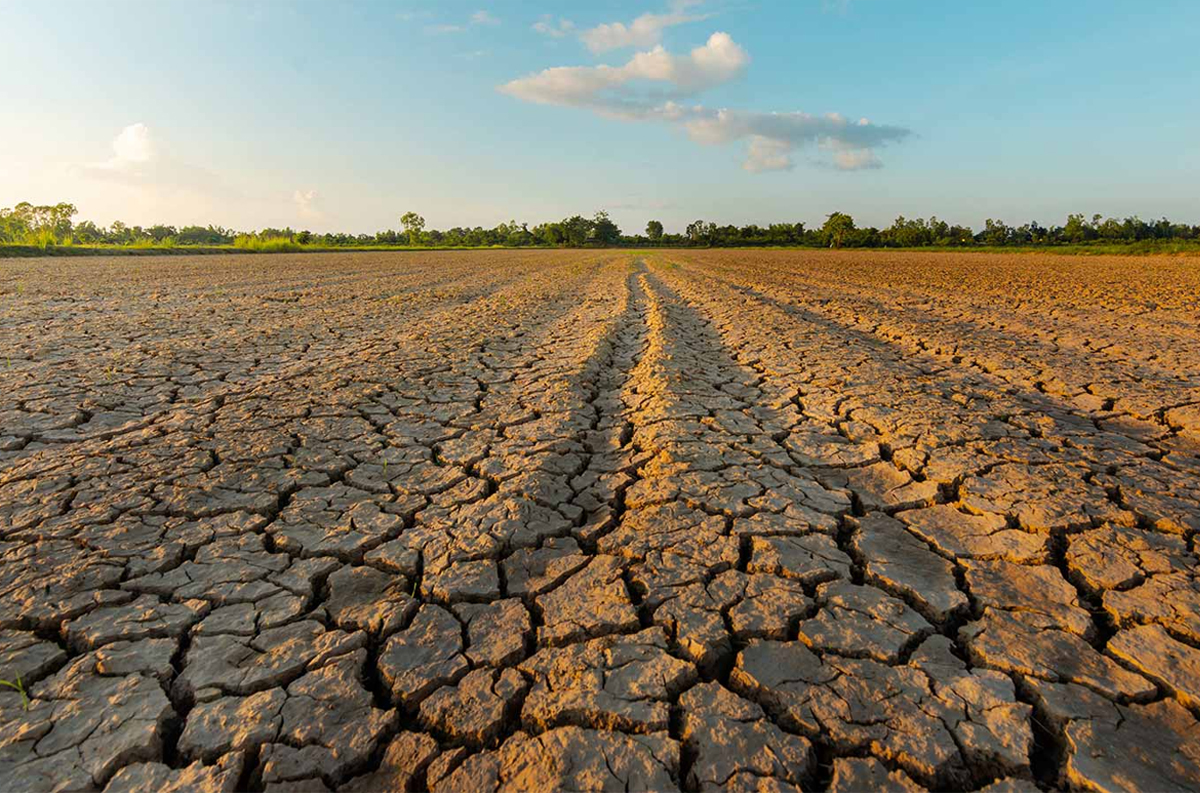 La Ligue arabe souligne l’importance de concerter les efforts face à la sécheresse et la désertification