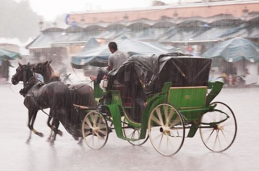  Hauteurs des pluies pendant les 24 dernières heures au Maroc