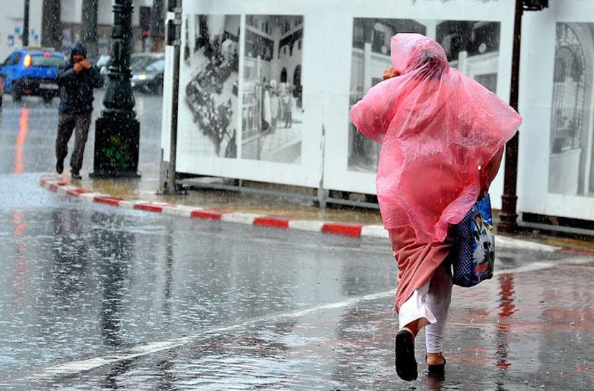 Hauteurs de pluies relevées au cours des dernières 24 heures