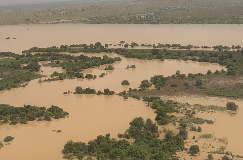  Débordement du fleuve Sénégal : 55 600 sinistrés et 1 002 ha de cultures inondés (officiel)