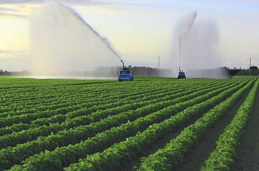 Campagne agricole 2024-2025 : un démarrage prometteur pour un secteur en quête d’un nouveau souffle