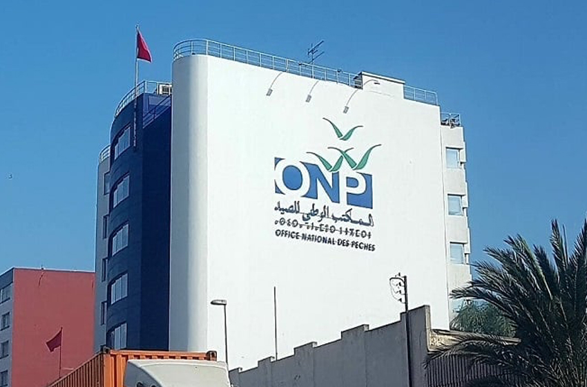 Rabat : l’ONP tient son Conseil d’administration