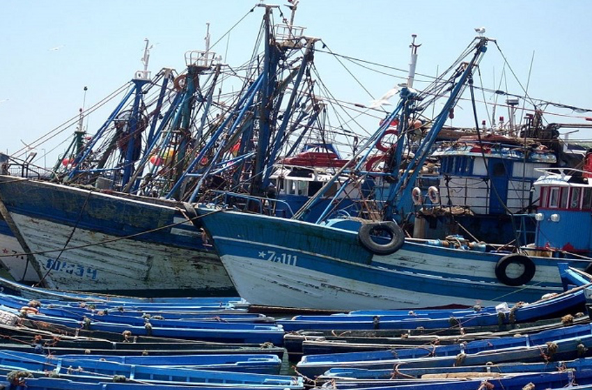 Port de Mehdia: les débarquements de pêche en baisse de 19% à fin novembre 2024