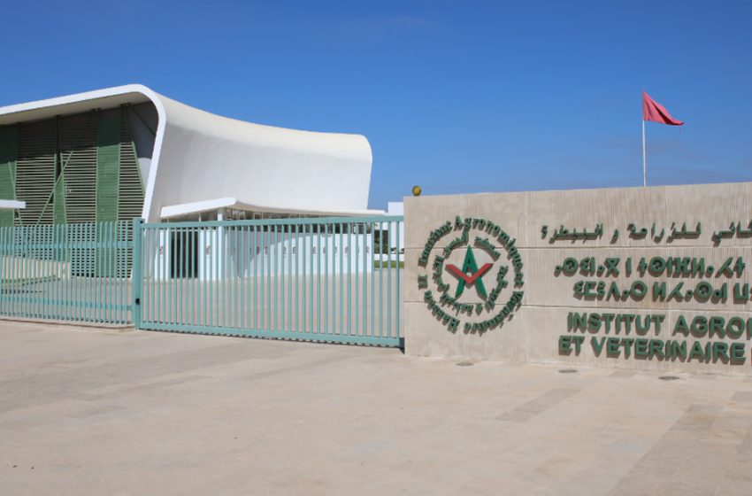 Tenue à Rabat de la 73è session du congrès de l’association internationale des étudiants vétérinaires