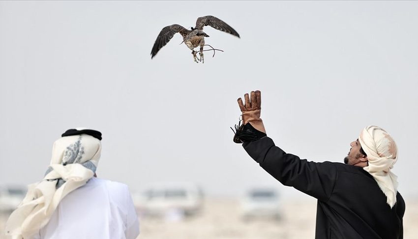  Festival international de fauconnerie et de chasse de Qatar: le Marocain Abdelkarim Ouasfi se qualifie pour la finale