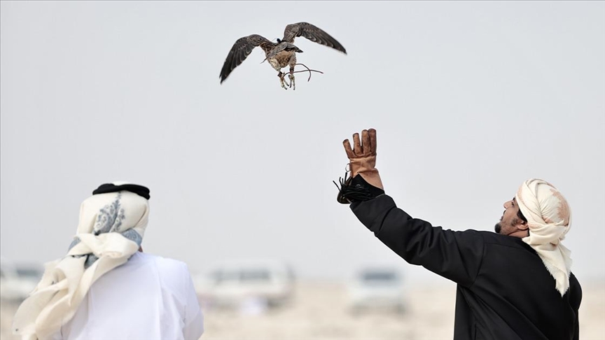 Festival international de fauconnerie et de chasse de Qatar: le Marocain Abdelkarim Ouasfi se qualifie pour la finale