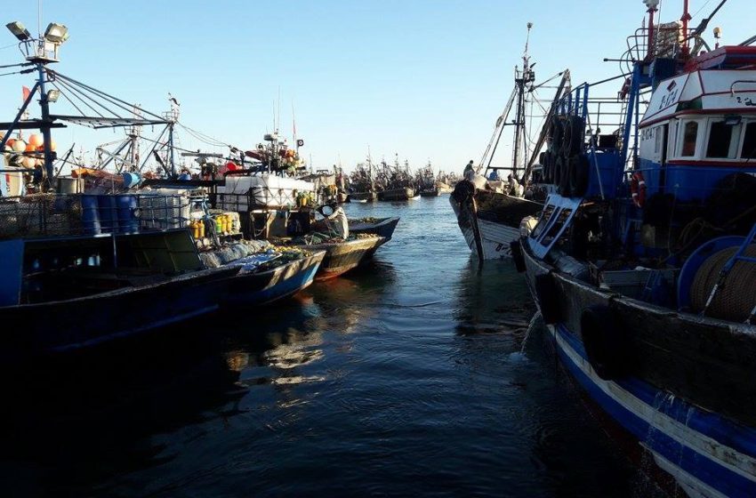 Port de Lassarga: Baisse de 2% des débarquements de pêche en 2024