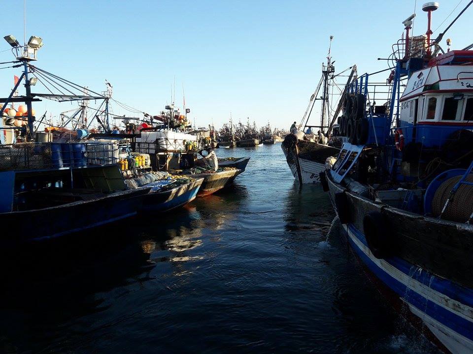 Port de Lassarga: Baisse de 2% des débarquements de pêche en 2024