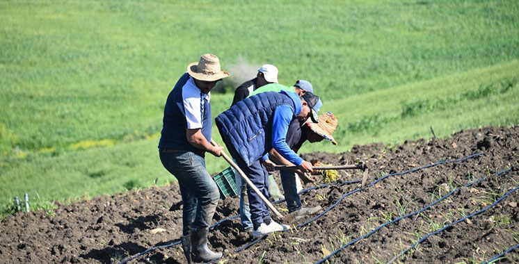 La 2ème édition de l’AgriTech Expo, le 17 février à Sefrou