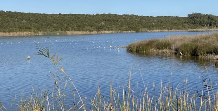 Les zones humides d’Essaouira, un atout écologique et économique à valoriser (Panélistes)