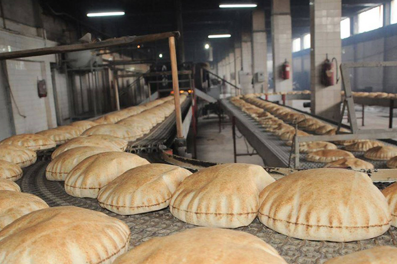  أزمة الغذاء العالمي .. مصر تتجه نحو إنتاج الخبز من البطاطس
