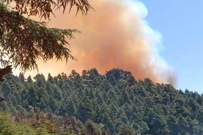  الحسيمة : اندلاع حريق مهول بغابة جبل أغندرو