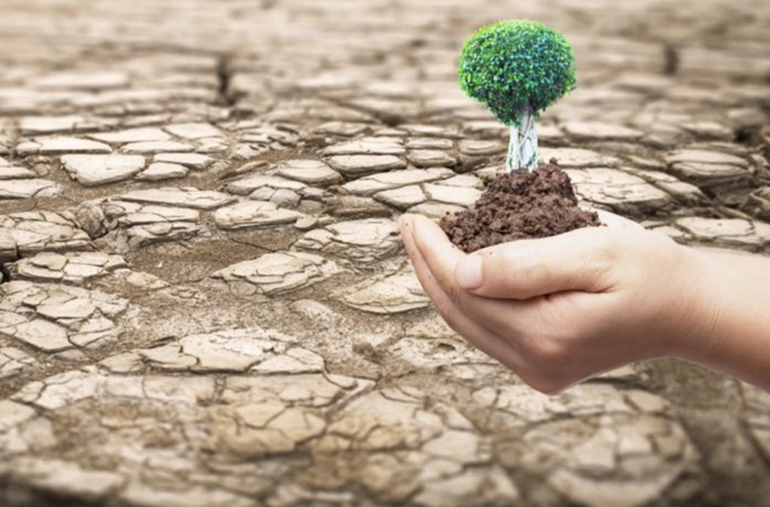 اليوم العالمي لمكافحة التصحر والجفاف.. مناسبة للتوعية بأهمية التدبير المستدام للأراضي