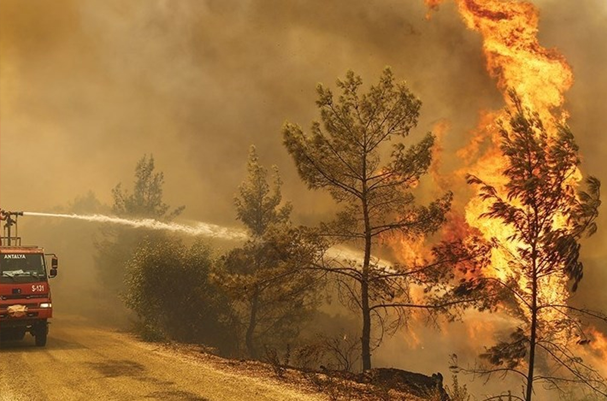 تركيا.. ثلاثة قتلى في حريق غابات بولاية إزمير
