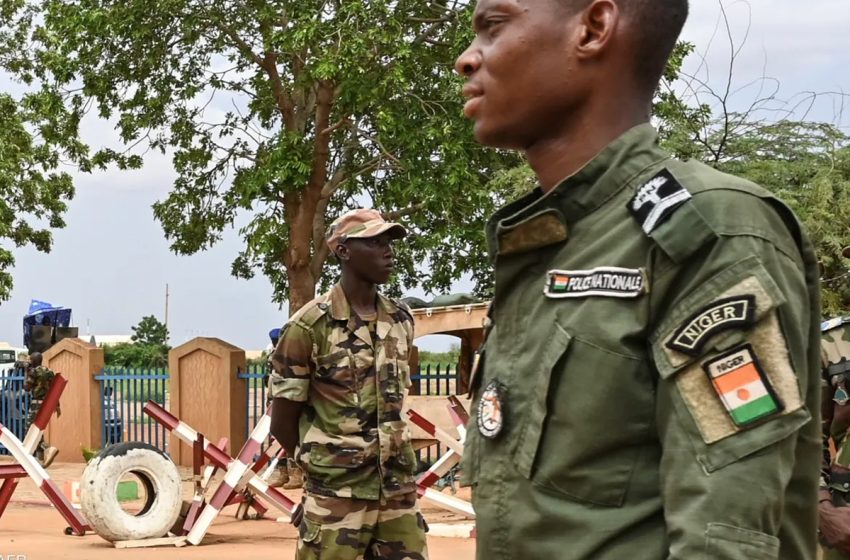 النيجر.. القضاء على 22 إرهابيا من قبل الجيش غرب البلاد