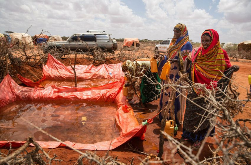 مجموعة تنمية الجنوب الأفريقي: 68 مليون شخص يعانون من الجفاف في المنطقة