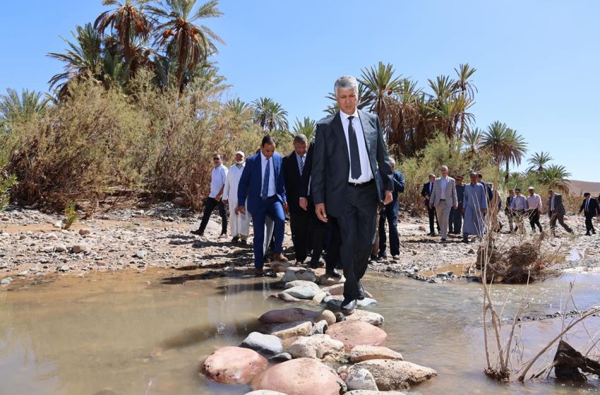  صديقي: تشخيص دقيق وإجراءات استعجالية للتخفيف من آثار التساقطات المطرية القوية على الفلاحة بإقليم ورزازات