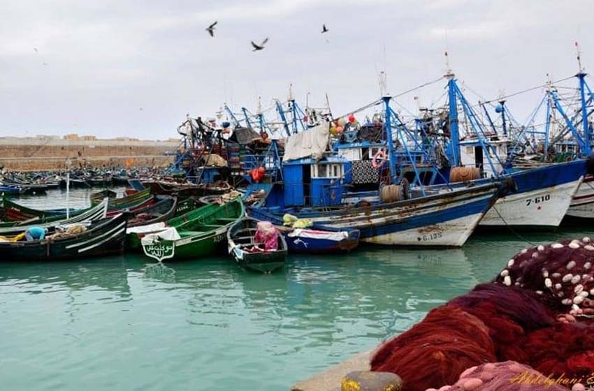 ميناء طانطان.. ارتفاع مفرغات الصيد الساحلي والتقليدي بنسبة 29 بالمائة عند متم فبراير الماضي (مكتب)