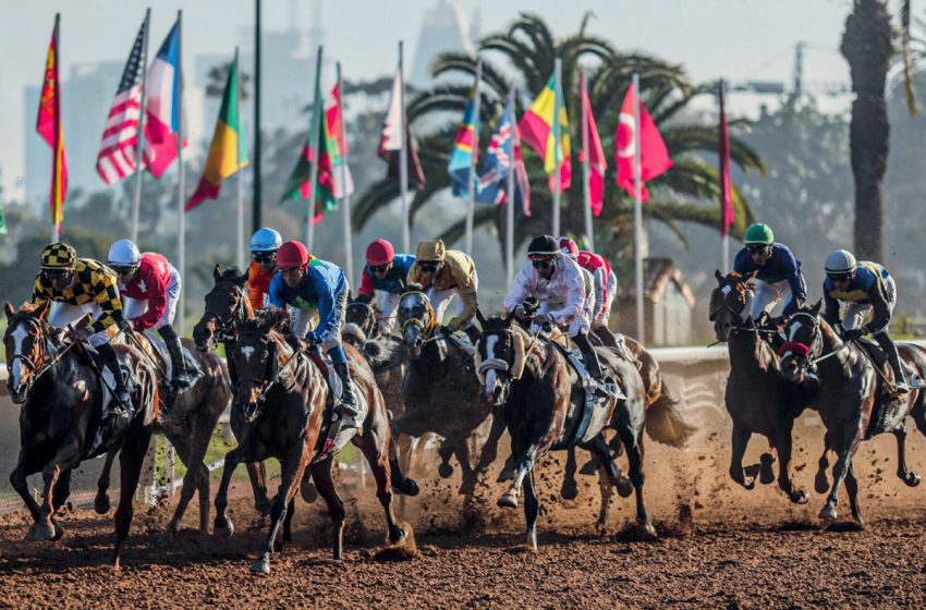 الدورة العاشرة للملتقى الدولي المغربي لسباق الخيول: الحصان “العثمان” يفوز بجائزة صاحب الجلالة الملك محمد السادس للخيول الإنجليزية الأصيلة