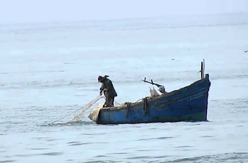 طنجة : لقاء بين مهنيي الصيد التقليدي المغاربة والإسبان لتعزيز إدارة الموارد السمكية بمضيق جبل طارق