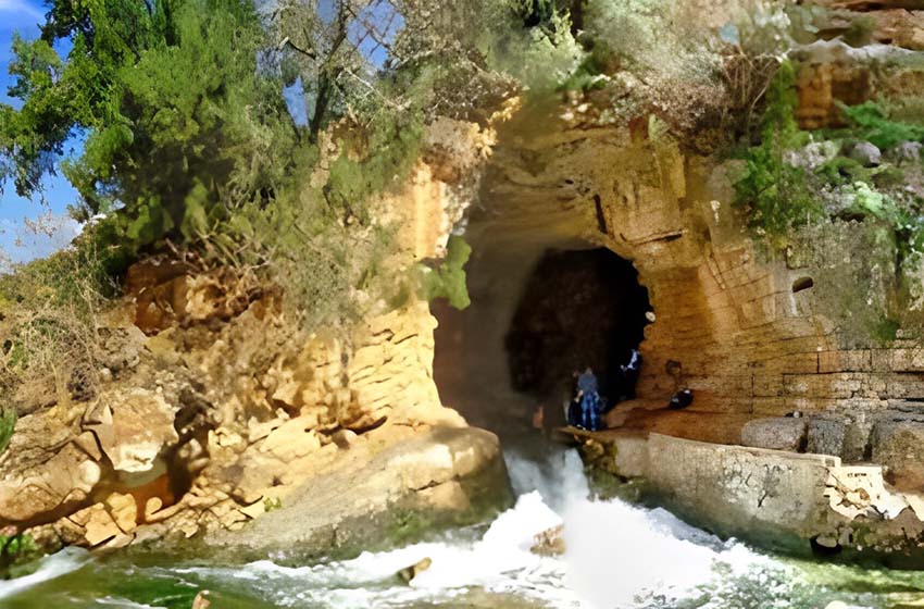  المغرب.. اكتشاف أقدم استعمال طبي للأعشاب في العالم يعود تاريخه إلى 15 ألف سنة بمغارة الحمام بتافوغالت