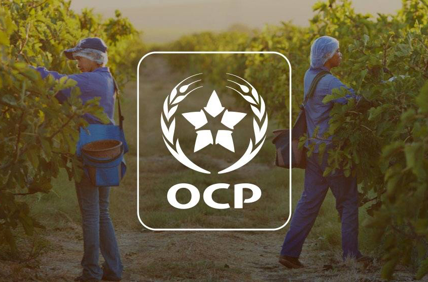 شركة “OCP SA”..تأشير الهيئة المغربية لسوق الرساميل على المنشور المتعلق بإصدار سندات اقتراض عادية بمبلغ إجمالي قدره 5 ملايير درهم