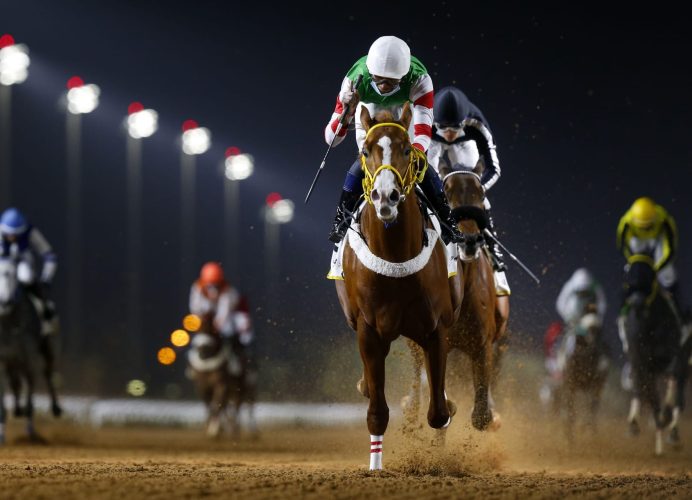 سباقات الخيول.. الدار البيضاء تحتضن النسخة الأولى للمهرجان الإماراتي المغربي يوم 26 أبريل الجاري